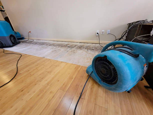 Professional Water Damage Repair technician working in Edmondson, AR